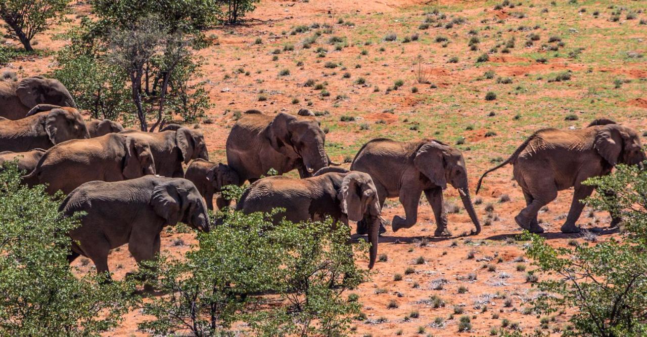 Grootberg Lodge Damaraland Exteriör bild