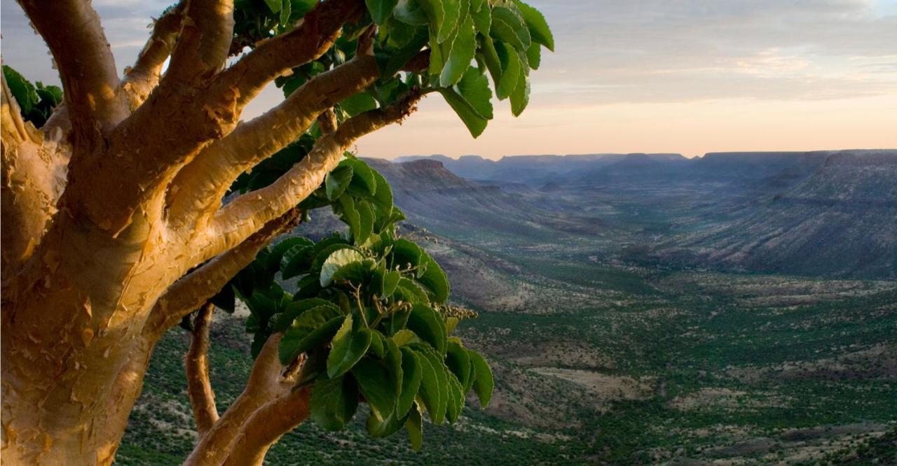 Grootberg Lodge Damaraland Exteriör bild
