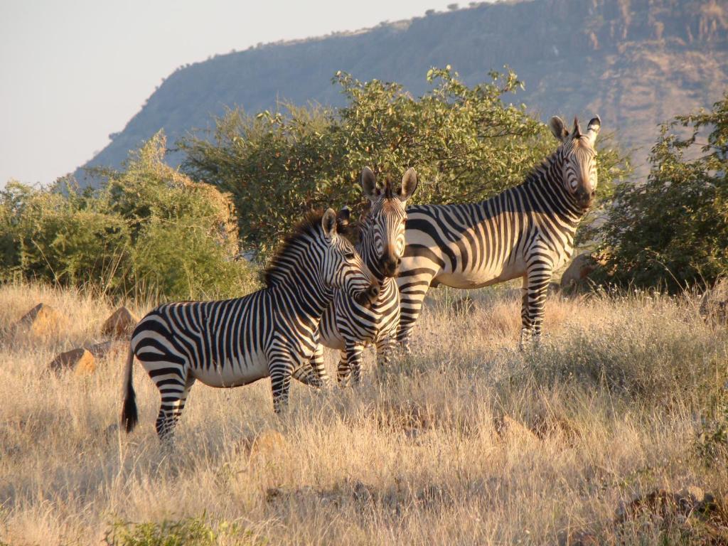Grootberg Lodge Damaraland Exteriör bild