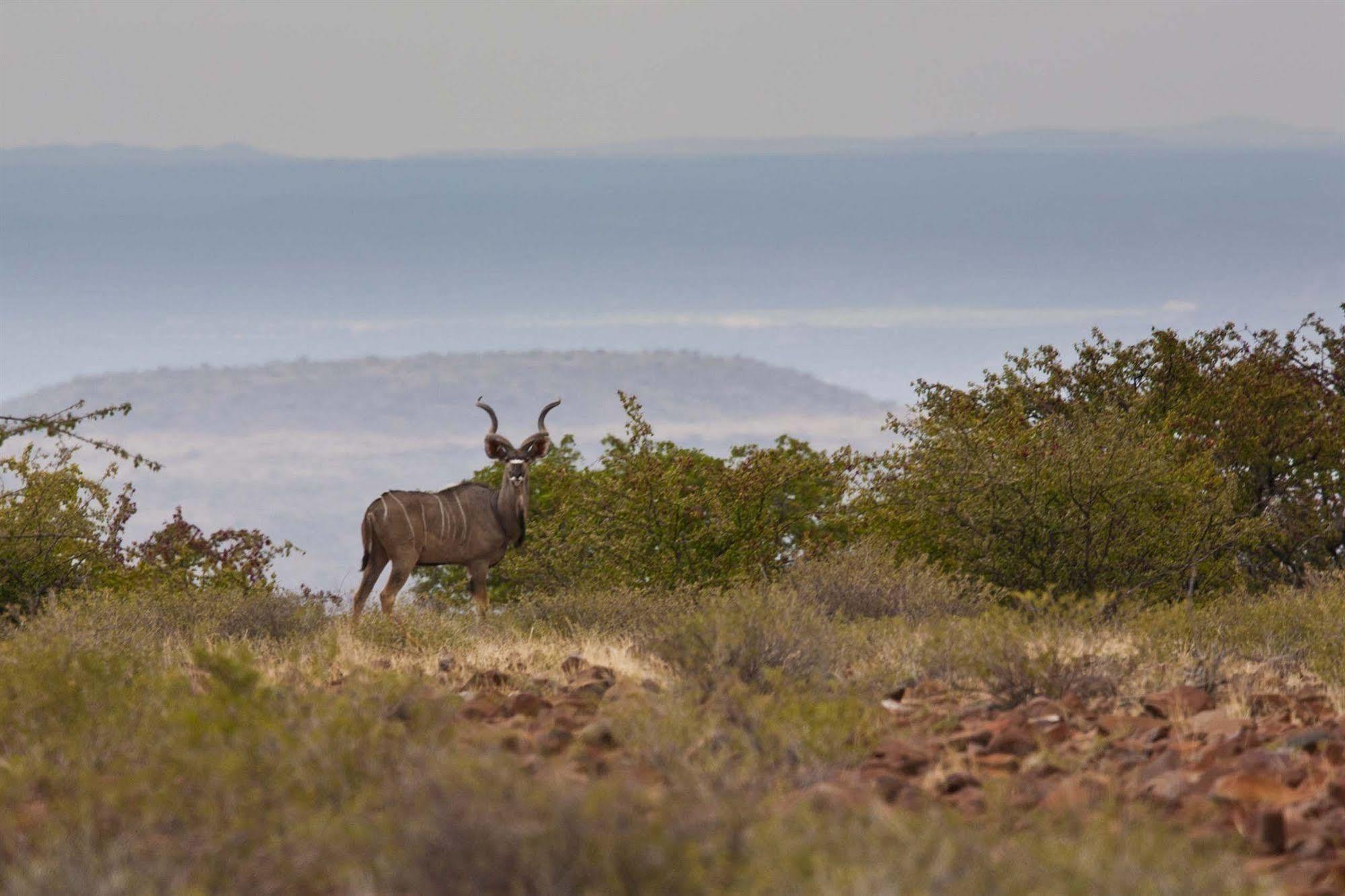 Grootberg Lodge Damaraland Exteriör bild